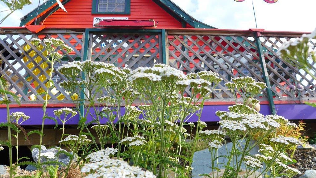 Hotel Mountain Thyme Getaway Barkerville Esterno foto